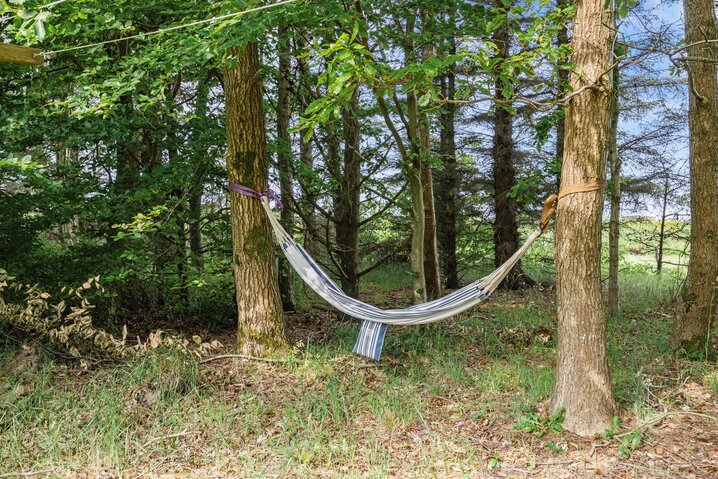 Sommerhus 35186 på Vagtelvænget 36, Bork Havn - Billede #25