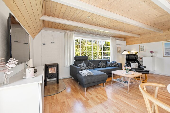Ferienhaus 37761 in Ålevej 11, Skaven Strand - Bild #1