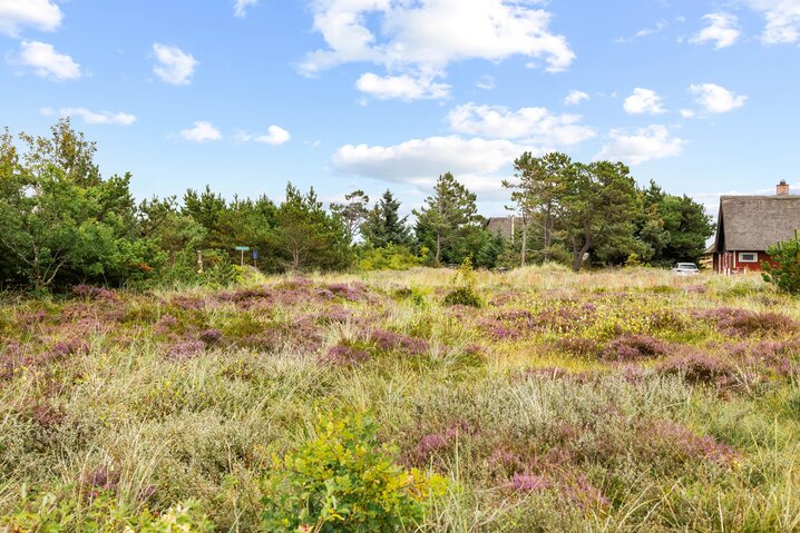 Ferienhaus 40520 in Mågevej 2, Henne Strand - Bild #25