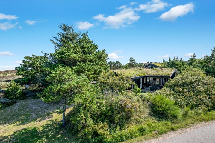 Sommerhus 40605 på Tranebærvej 5, Henne Strand - Billede #23