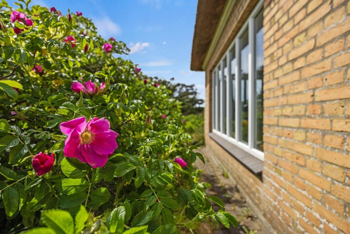 Sommerhus 40615 på Gyldenrisvej 3, Henne Strand - Billede #19