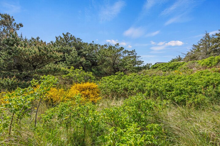 Sommerhus 40615 på Gyldenrisvej 3, Henne Strand - Billede #20
