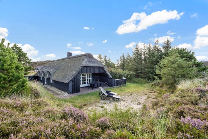 Ferienhaus 40657 in Hyldebærvej 4, Henne Strand - Bild #0