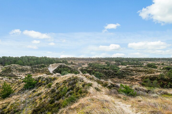 Sommerhus 40702 på Gejlbjergvej 35, Henne Strand - Billede #37