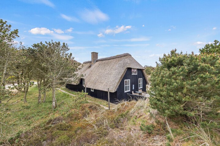 Sommerhus 40727 på Ranunkelvej 6, Henne Strand - Billede #19