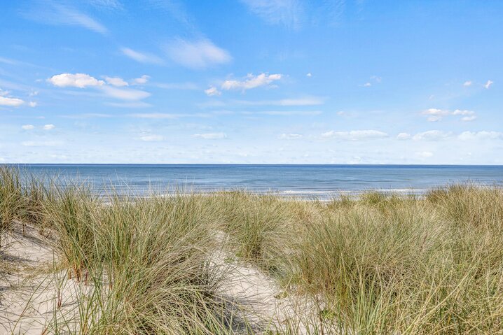 Ferienhaus 40730 in Blåklokkevej 6, Henne Strand - Bild #38