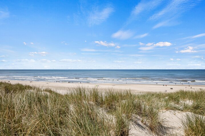 Ferienhaus 40730 in Blåklokkevej 6, Henne Strand - Bild #39