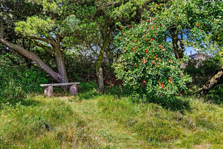 Sommerhus 40756 på Hjelmevej 73, Henne Strand - Billede #29