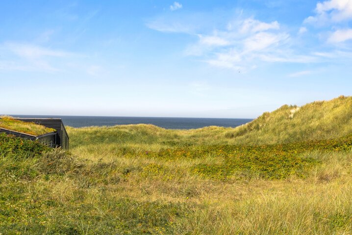 Ferienhaus 40821 in Klitvej 23, Henne Strand - Bild #50