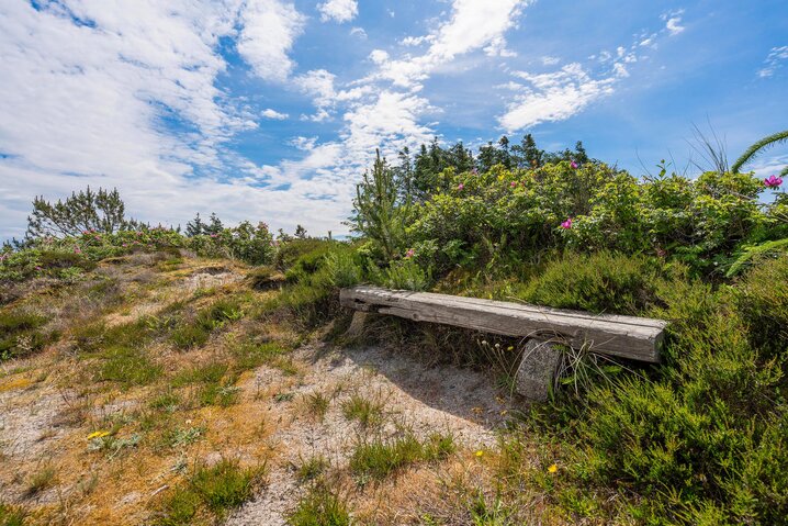 Sommerhus 40845 på Porsevej 11, Henne Strand - Billede #35