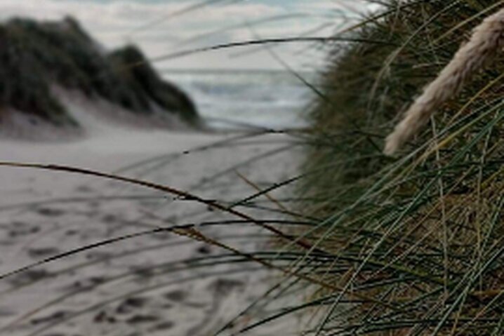 Ferienhaus 40862 in Strandvejen 410, Henne Strand - Bild #28