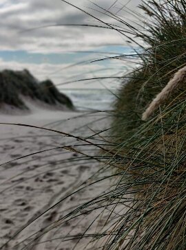 Ferienhaus 40862 in Strandvejen 410, Henne Strand - Bild #28
