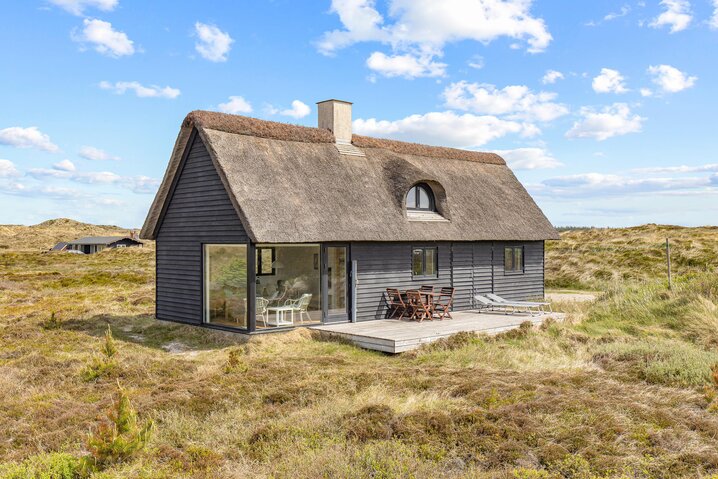 Ferienhaus 40891 in Regnspovevej 9, Henne Strand - Bild #0