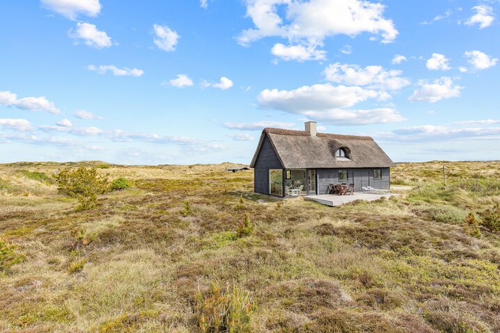 Ferienhaus 40891 in Regnspovevej 9, Henne Strand - Bild #30