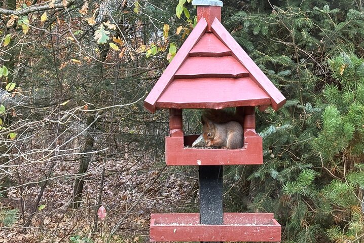 Ferienhaus 41608 in Stendyssevej 9, Henneby - Bild #23