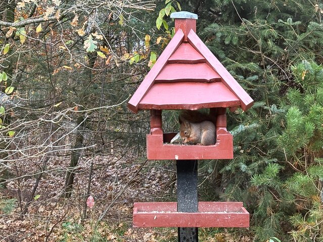 Ferienhaus 41608 in Stendyssevej 9, Henneby - Bild #23