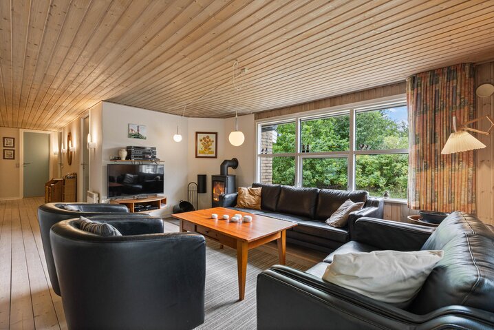 Holiday home 41707 at Hyttestien 15, Henneby - Picture #1