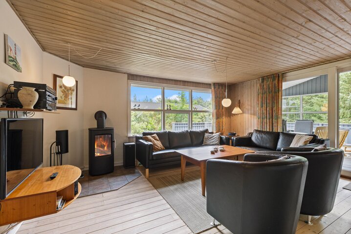 Holiday home 41707 at Hyttestien 15, Henneby - Picture #3