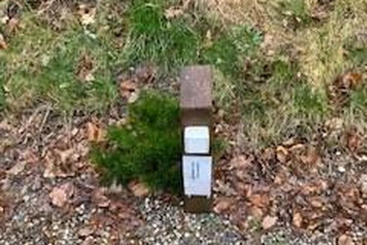 Ferienhaus 41711 in Niels Røgtersvej 2, Henneby - Bild #43