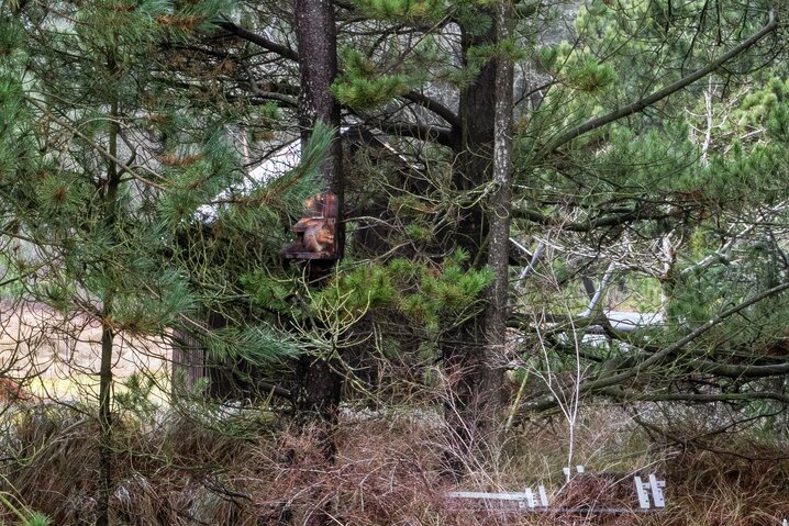 Ferienhaus 41837 in Rådyrstien 18, Henneby - Bild #33