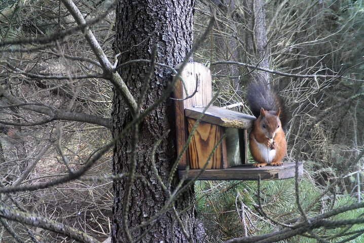 Ferienhaus 41837 in Rådyrstien 18, Henneby - Bild #39