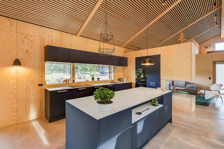 Ferienhaus 41925 in Strandgodsvej 17, Henneby - Bild #2