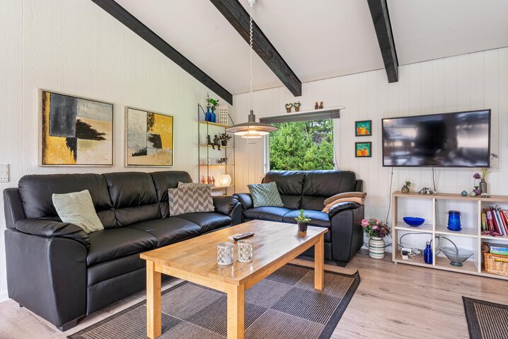 Ferienhaus 50028 in Snogevej 8, Vejers - Bild #1