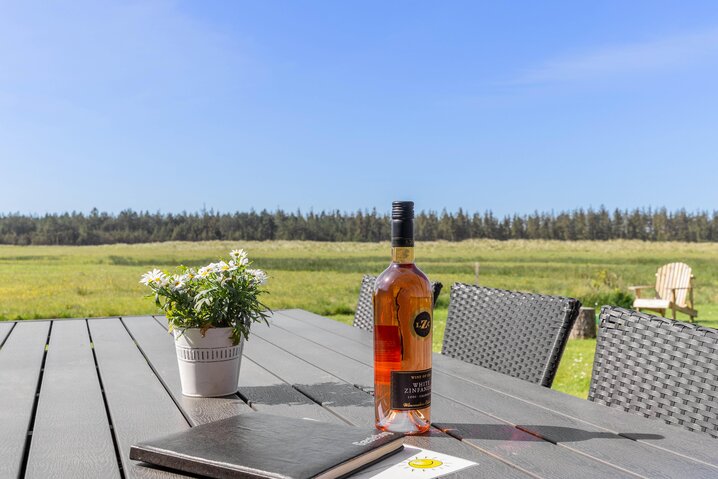 Ferienhaus 50036 in Rådyrvej 18, Vejers - Bild #23