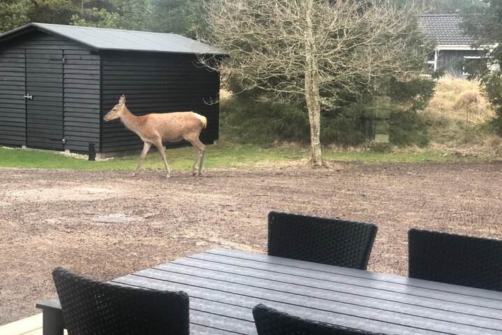 Sommerhus 50087 på Peders Vej 14, Vejers - Billede #46