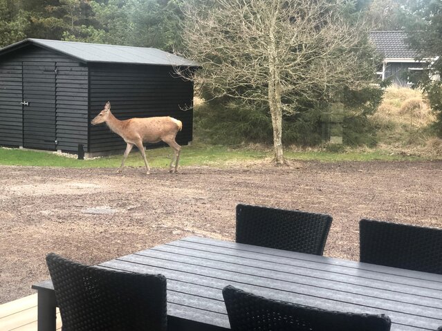 Sommerhus 50087 på Peders Vej 14, Vejers - Billede #46