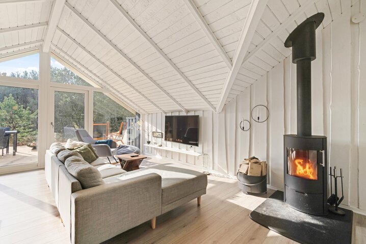 Ferienhaus 50098 in Engesøvej 100, Vejers - Bild #1