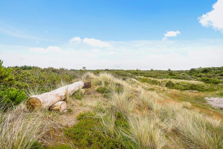 Sommerhus 50104 på Nordvej 130, Vejers - Billede #45