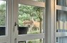 Sommerhus 50139 på Uglevej 7, Vejers - Billede #8