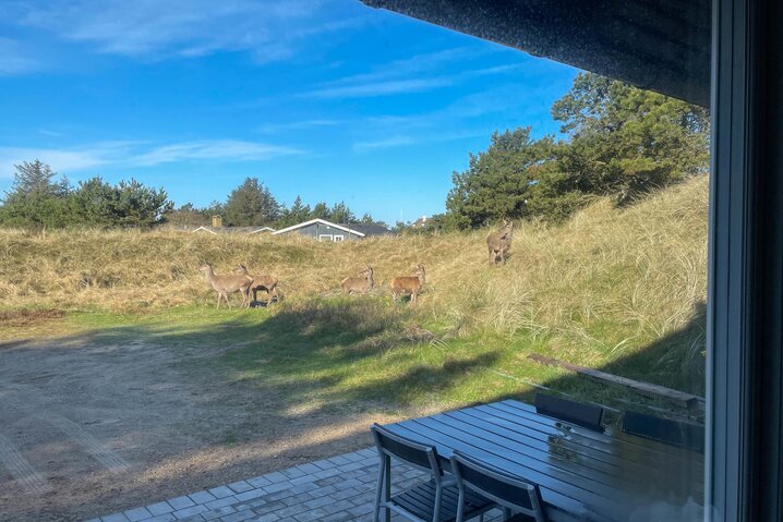 Ferienhaus 50185 in Risvej 44, Vejers - Bild #27