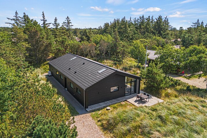 Ferienhaus 50187 in Snogevej 16, Vejers - Bild #53