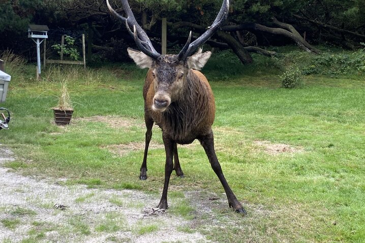 Sommerhus 50204 på Torskevej 8, Vejers - Billede #25