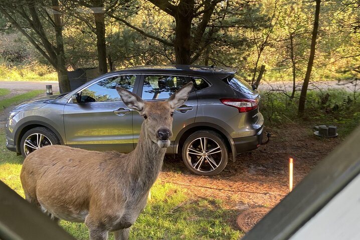 Sommerhus 50204 på Torskevej 8, Vejers - Billede #26