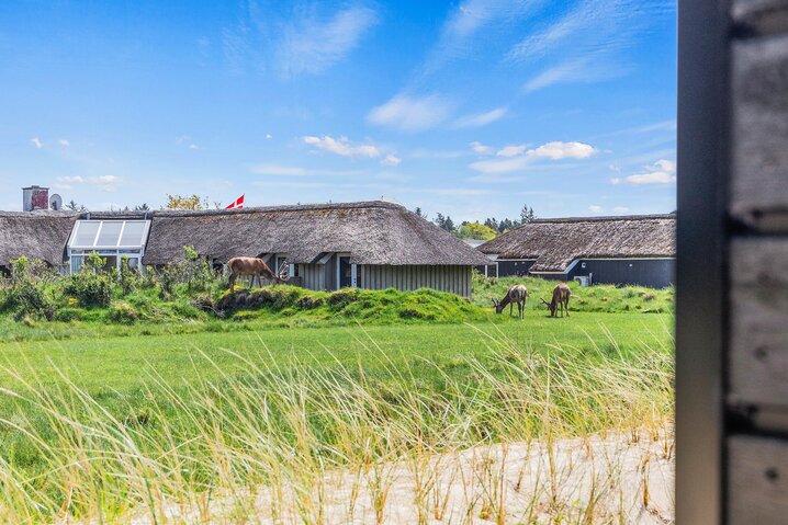 Sommerhus 50219 på Kræmmervej 12, Vejers - Billede #40