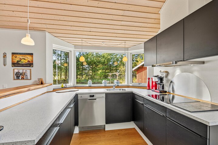 Ferienhaus 50235 in Rådyrvej 12, Vejers - Bild #2