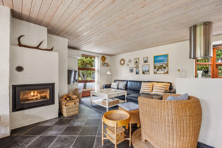Ferienhaus 50236 in Gøgevej 9, Vejers - Bild #1