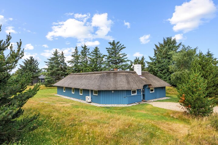 Holiday home 50237 at Fugltoft 7, Vejers - Picture #28