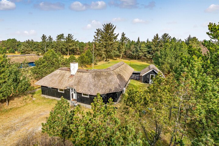 Ferienhaus 50238 in Fugltoft 12, Vejers - Bild #30