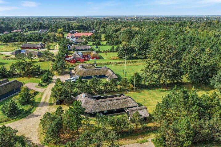 Ferienhaus 50238 in Fugltoft 12, Vejers - Bild #40