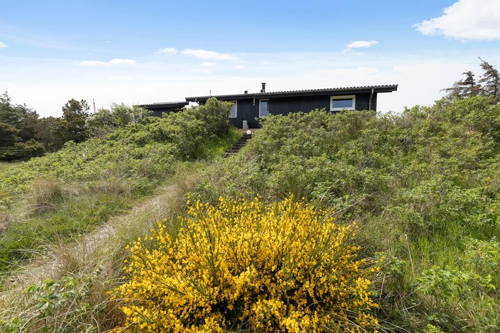 Ferienhaus 50331 in Mågevej 12, Vejers - Bild #29