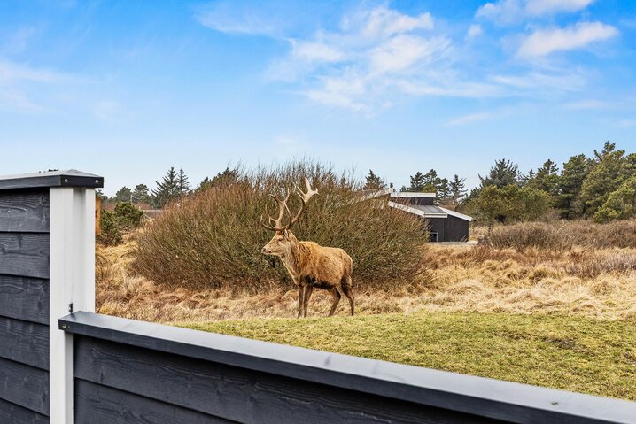 Ferienhaus 50746 in Engesøvej 87, Vejers - Bild #37