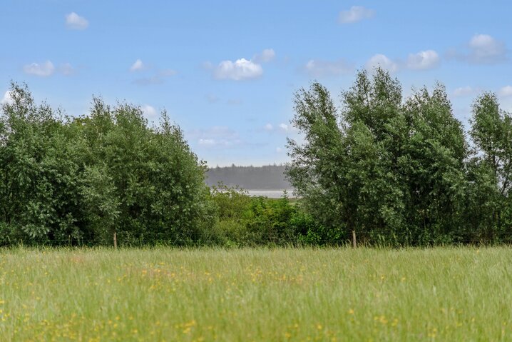 Ferienhaus 51117 in Bugten 8, Mosevrå - Bild #34