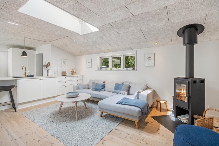 Ferienhaus 52020 in Søringen 4, Grærup Strand - Bild #1