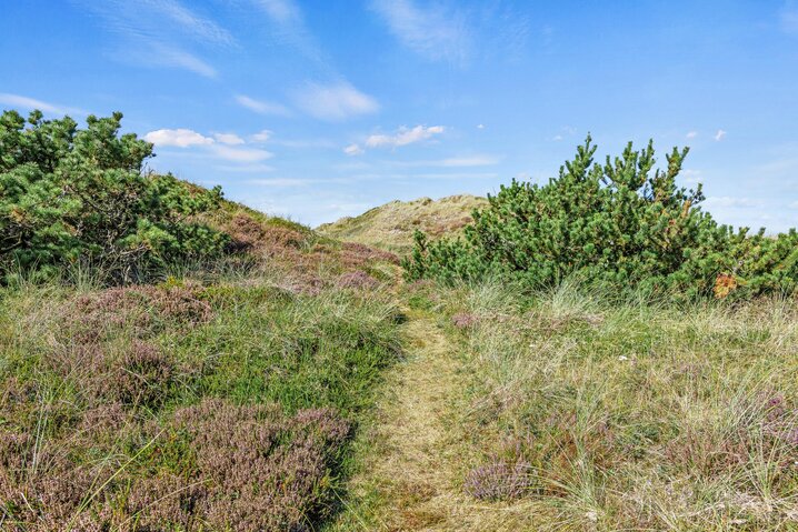 Sommerhus 52092 på Blåbærvej 1, Grærup Strand - Billede #32