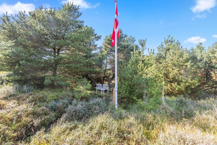 Ferienhaus 52093 in Lyngvej 14, Grærup Strand - Bild #29