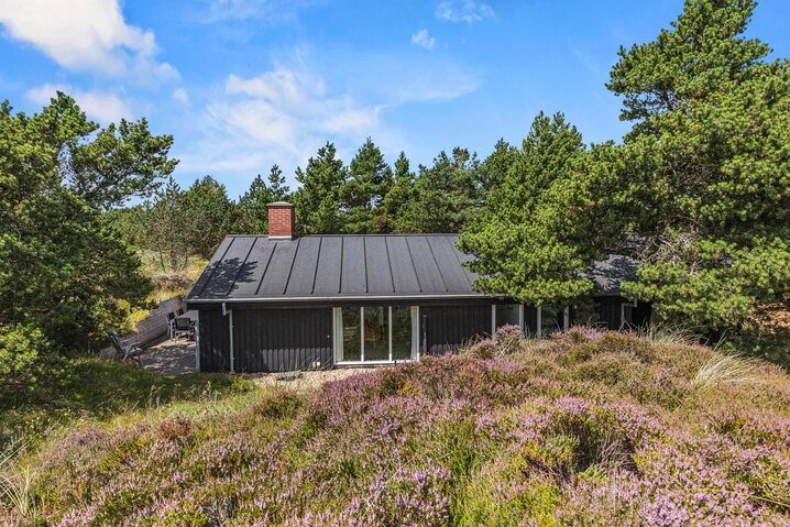 Sommerhus 52099 på Lyngvej 3, Grærup Strand - Billede #24